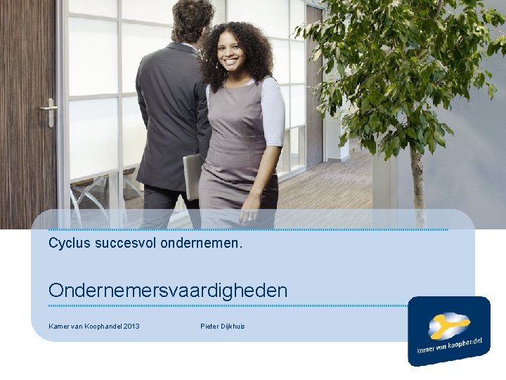Cyclus succesvol ondernemen. Ondernemersvaardigheden Kamer van Koophandel 2013 Pieter Dijkhuis 