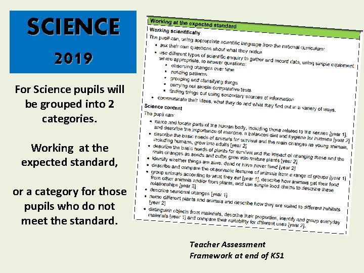 SCIENCE 2019 For Science pupils will be grouped into 2 categories. Working at the