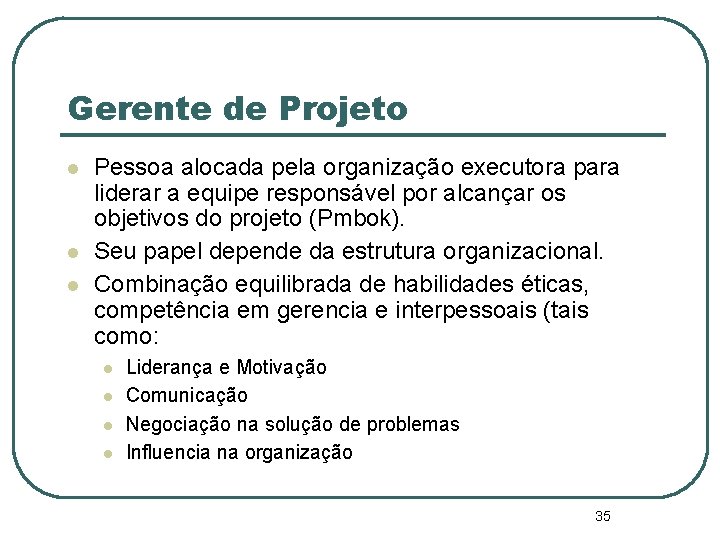 Gerente de Projeto Pessoa alocada pela organização executora para liderar a equipe responsável por