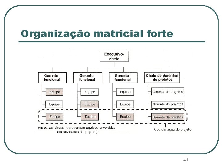 Organização matricial forte 41 