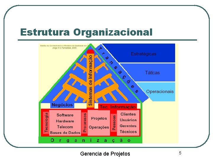 Estrutura Organizacional Gerencia de Projetos 5 