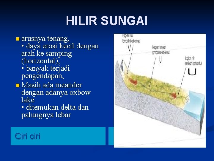 HILIR SUNGAI n arusnya tenang, • daya erosi kecil dengan arah ke samping (horizontal),