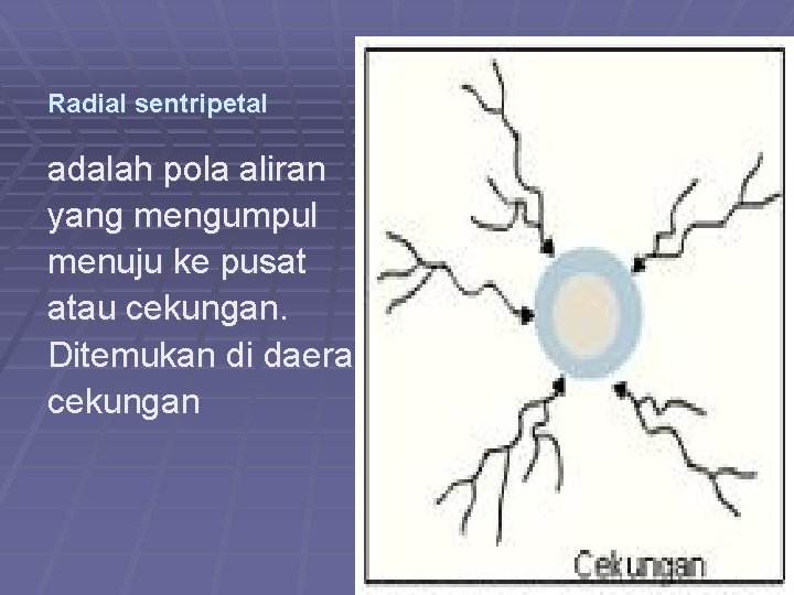 Radial sentripetal adalah pola aliran yang mengumpul menuju ke pusat atau cekungan. Ditemukan di