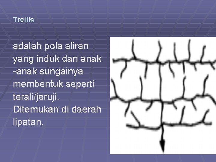 Trellis adalah pola aliran yang induk dan anak -anak sungainya membentuk seperti terali/jeruji. Ditemukan