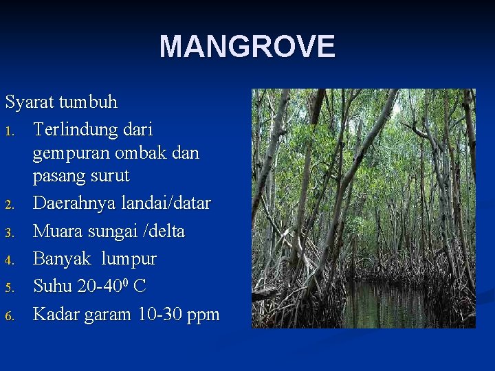 MANGROVE Syarat tumbuh 1. Terlindung dari gempuran ombak dan pasang surut 2. Daerahnya landai/datar