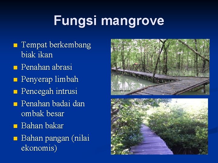 Fungsi mangrove n n n n Tempat berkembang biak ikan Penahan abrasi Penyerap limbah