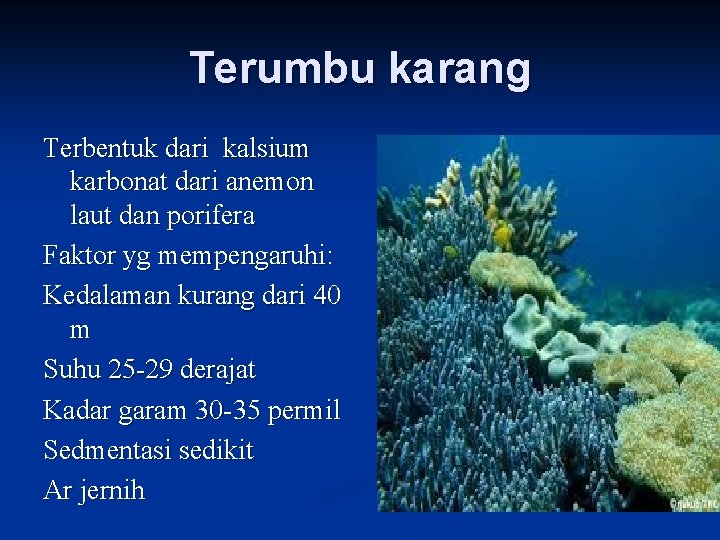 Terumbu karang Terbentuk dari kalsium karbonat dari anemon laut dan porifera Faktor yg mempengaruhi: