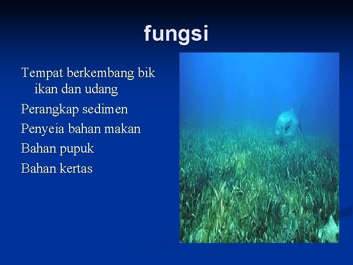 fungsi Tempat berkembang bik ikan dan udang Perangkap sedimen Penyeia bahan makan Bahan pupuk