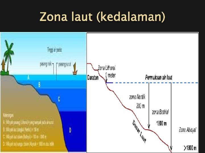 Zona laut (kedalaman) 