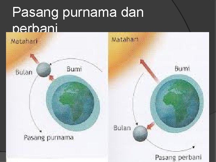 Pasang purnama dan perbani 