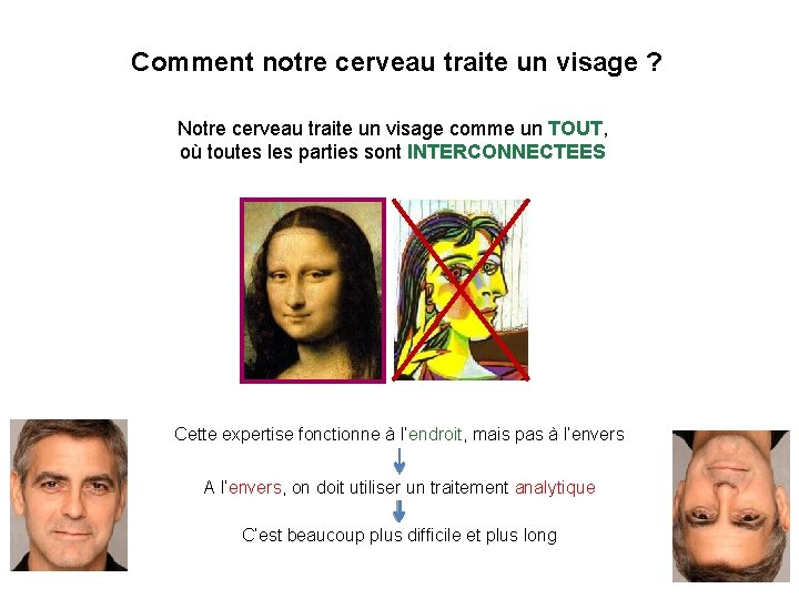 Comment notre cerveau traite un visage ? Notre cerveau traite un visage comme un