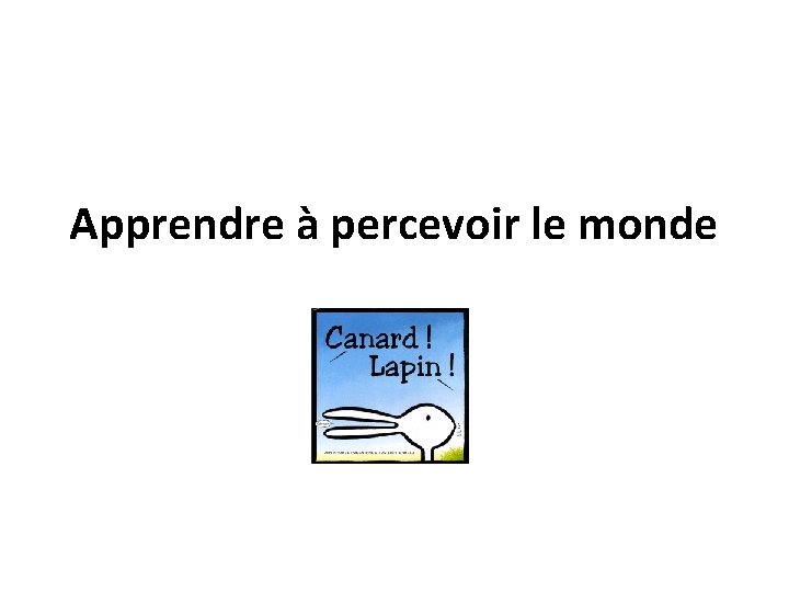 Apprendre à percevoir le monde 