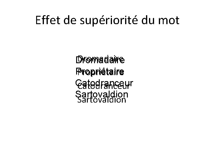 Effet de supériorité du mot Dromadaire Propriétaire Catodranceur Sartovaldion 