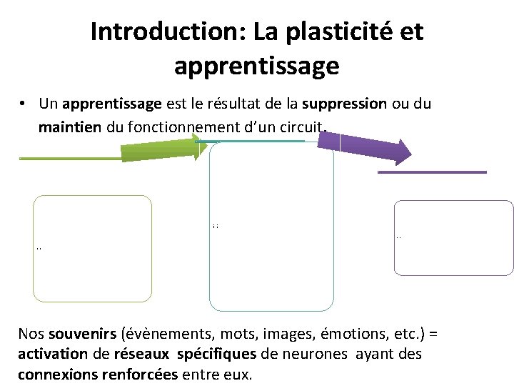 Introduction: La plasticité et apprentissage • Un apprentissage est le résultat de la suppression