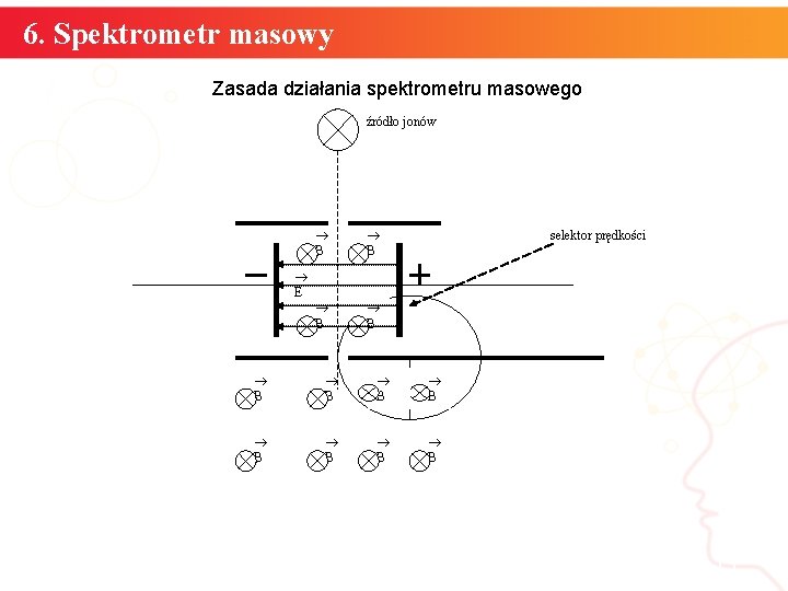 6. Spektrometr masowy Zasada działania spektrometru masowego źródło jonów E B B selektor prędkości