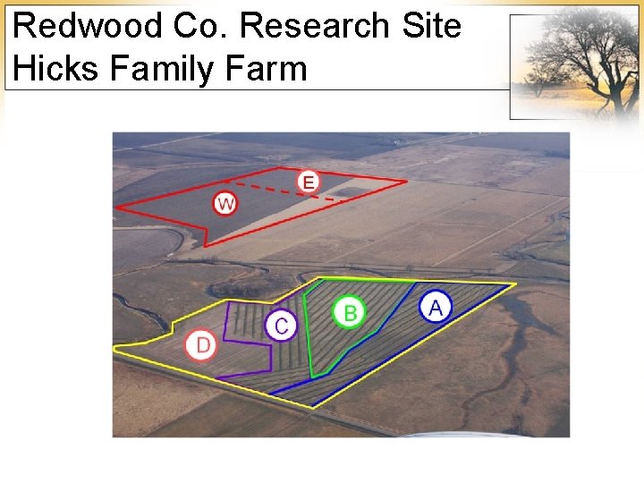 Redwood Co. Research Site Hicks Family Farm 