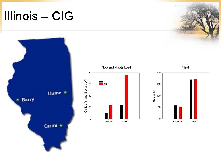 Illinois – CIG 