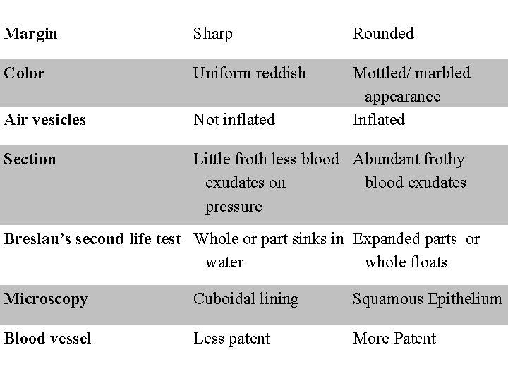 Margin Sharp Rounded Color Uniform reddish Air vesicles Not inflated Mottled/ marbled appearance Inflated Margin Sharp Rounded Color Uniform reddish Air vesicles Not inflated Mottled/ marbled appearance Inflated