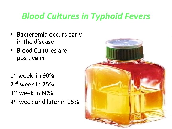 Blood Cultures in Typhoid Fevers • Bacteremia occurs early in the disease • Blood