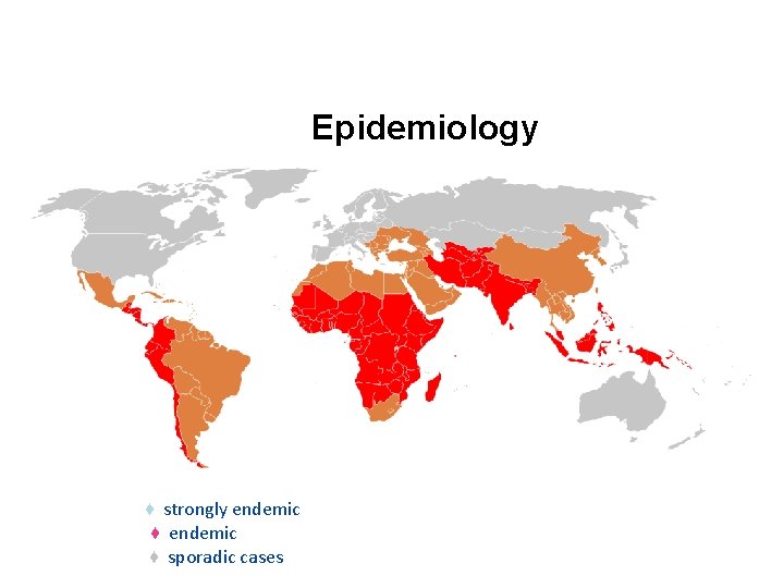 Epidemiology ♦ strongly endemic ♦ endemic ♦ sporadic cases 