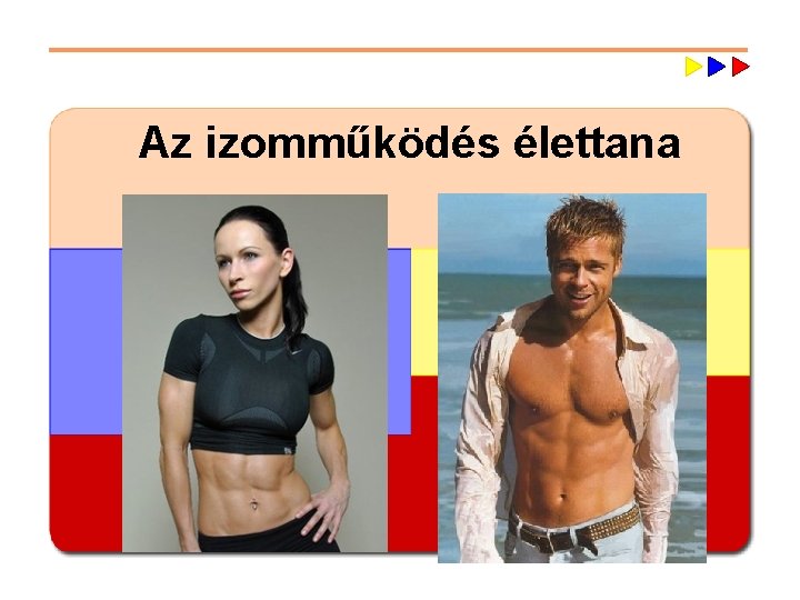 Az izomműködés élettana 