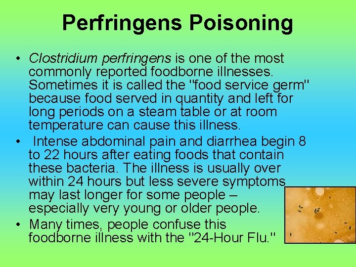 Perfringens Poisoning • Clostridium perfringens is one of the most commonly reported foodborne illnesses.