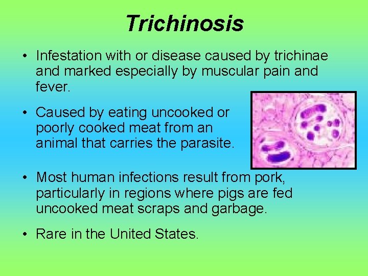 Trichinosis • Infestation with or disease caused by trichinae and marked especially by muscular