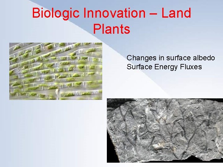 Biologic Innovation – Land Click to edit. Plants Master title style • • •