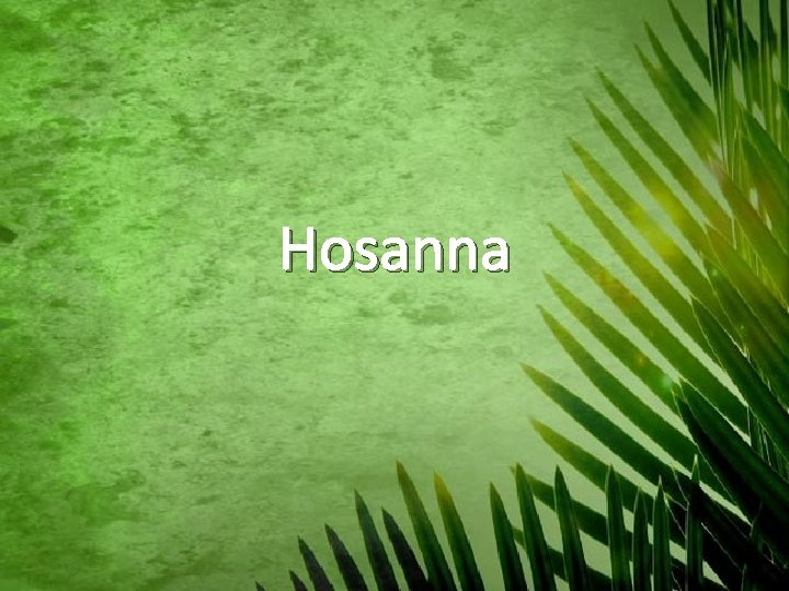 Hosanna 