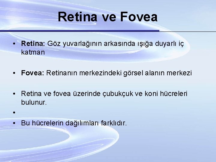 Retina ve Fovea • Retina: Göz yuvarlağının arkasında ışığa duyarlı iç katman • Fovea: