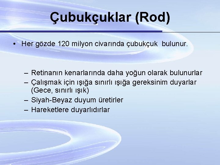 Çubukçuklar (Rod) • Her gözde 120 milyon civarında çubukçuk bulunur. – Retinanın kenarlarında daha