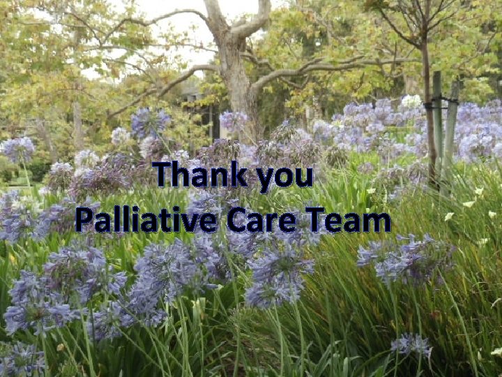 Thank you Palliative Care Team MKF 2016 63 