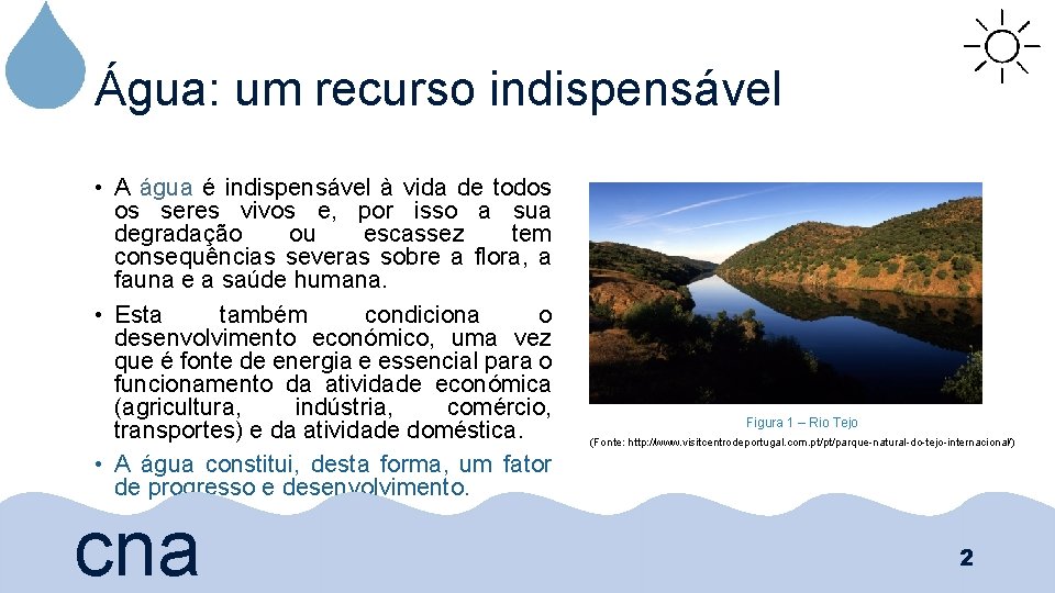 Água: um recurso indispensável • A água é indispensável à vida de todos os