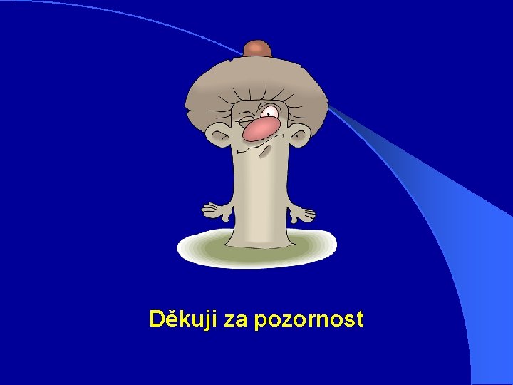 Děkuji za pozornost 