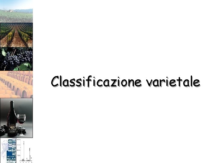 Classificazione varietale 