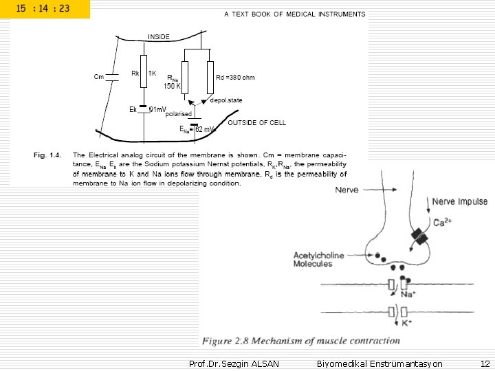 Prof. Dr. Sezgin ALSAN Biyomedikal Enstrümantasyon 12 