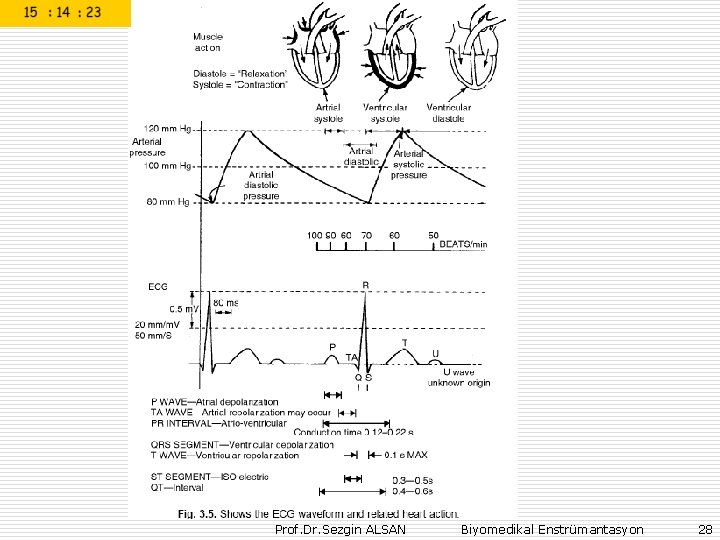 Prof. Dr. Sezgin ALSAN Biyomedikal Enstrümantasyon 28 