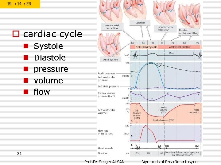 o cardiac cycle n n n Systole Diastole pressure volume flow 31 Prof. Dr.