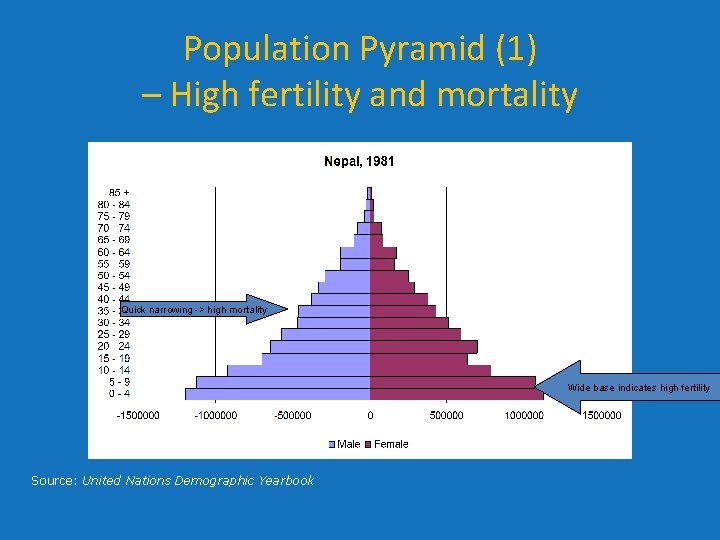 Population Pyramid (1) – High fertility and mortality Quick narrowing -> high mortality Wide Population Pyramid (1) – High fertility and mortality Quick narrowing -> high mortality Wide