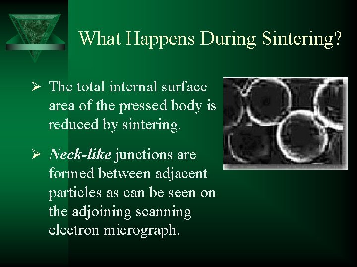 What Happens During Sintering? Ø The total internal surface area of the pressed body