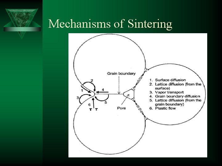 Mechanisms of Sintering 