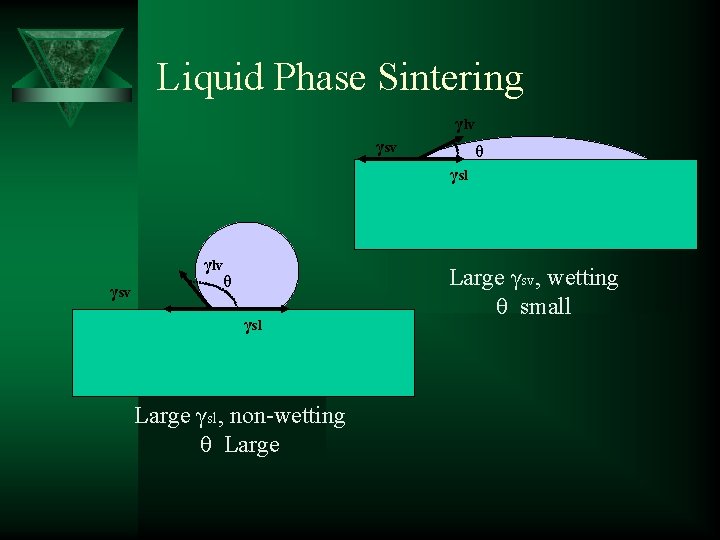 Liquid Phase Sintering γlv γsv θ γsl Large γsl, non-wetting θ Large γsv, wetting