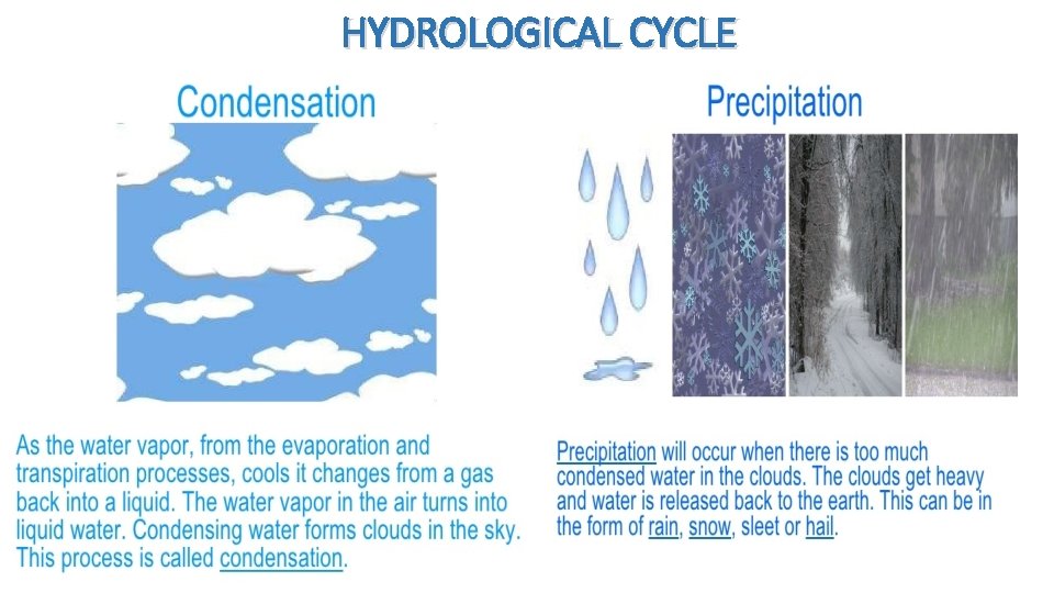 HYDROLOGICAL CYCLE 