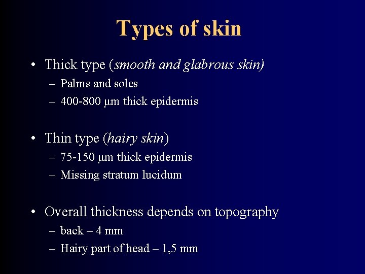 Types of skin • Thick type (smooth and glabrous skin) – Palms and soles