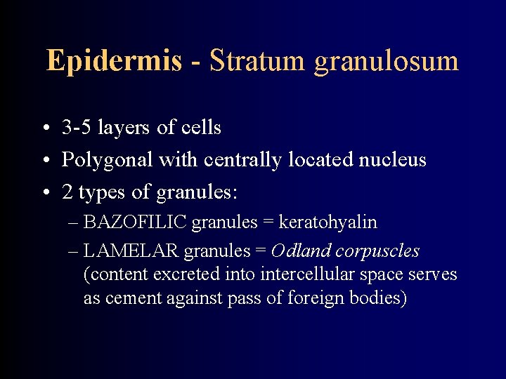 Epidermis - Stratum granulosum • 3 -5 layers of cells • Polygonal with centrally