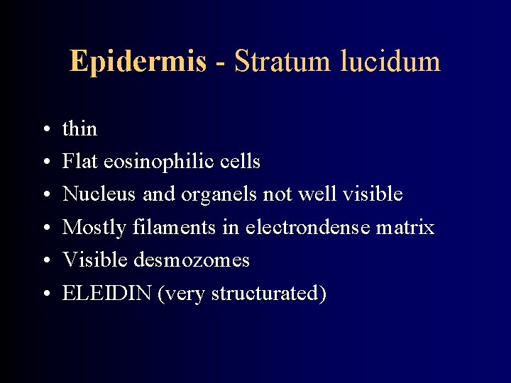 Epidermis - Stratum lucidum • • • thin Flat eosinophilic cells Nucleus and organels