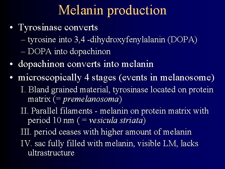 Melanin production • Tyrosinase converts – tyrosine into 3, 4 -dihydroxyfenylalanin (DOPA) – DOPA