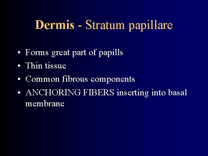 Dermis - Stratum papillare • • Forms great part of papills Thin tissue Common