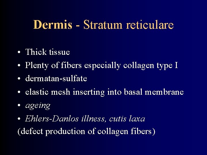 Dermis - Stratum reticulare • Thick tissue • Plenty of fibers especially collagen type