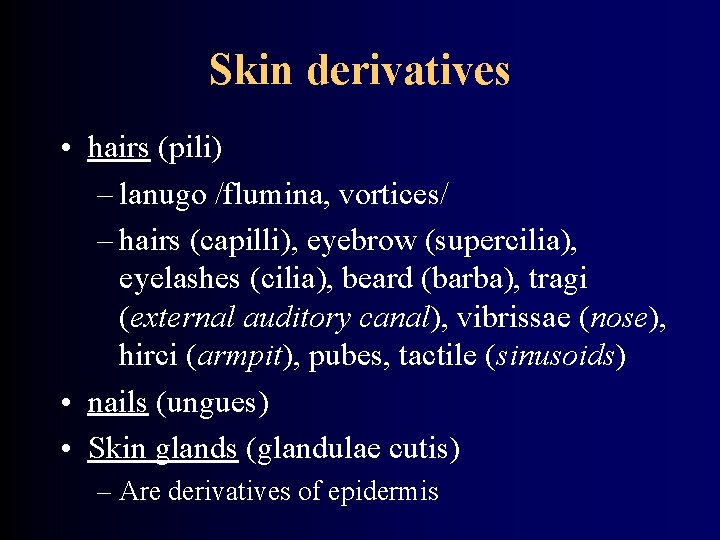 Skin derivatives • hairs (pili) – lanugo /flumina, vortices/ – hairs (capilli), eyebrow (supercilia),